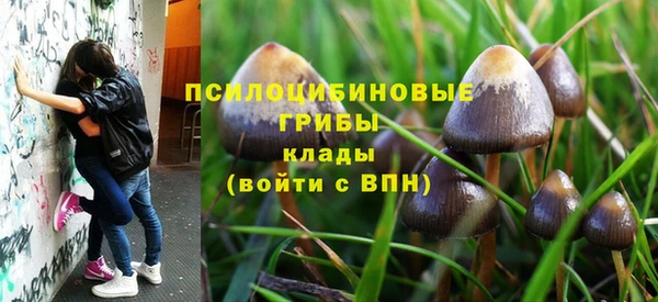 метадон Михайловск
