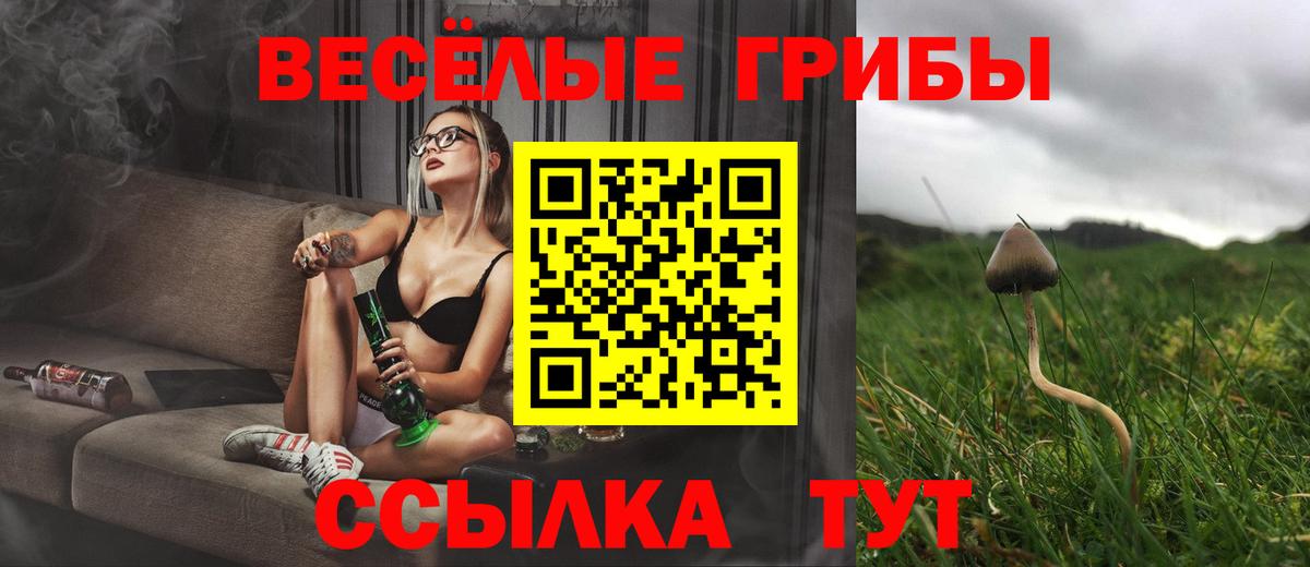 Галлюциногенные грибы Psilocybine cubensis  Казань  Псилоцибиновые грибы GOLDEN TEACHER 