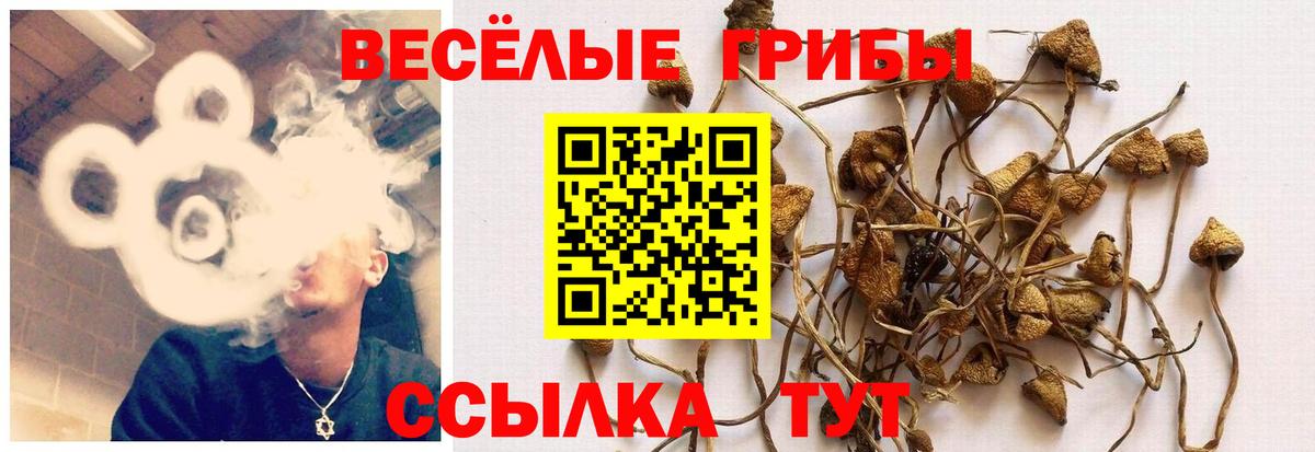 Кокаин Казань
