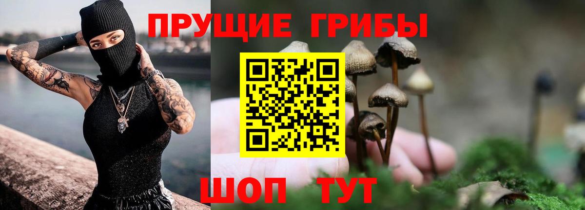 Псилоцибиновые грибы MAGIC MUSHROOMS Казань